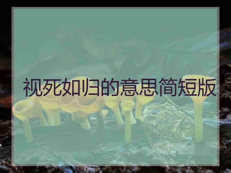 视死如归的意思简短版