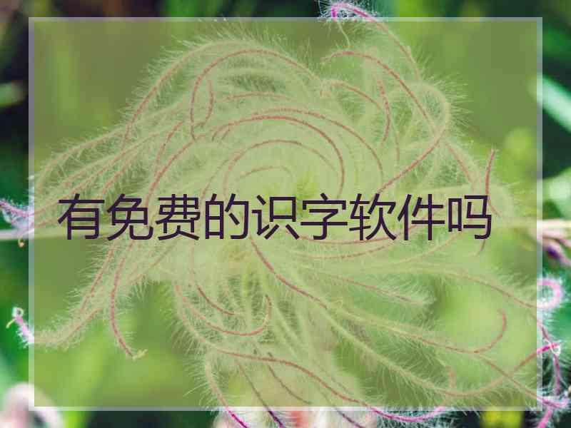 有免费的识字软件吗