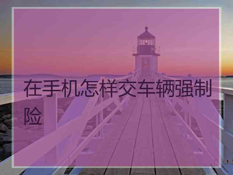 在手机怎样交车辆强制险