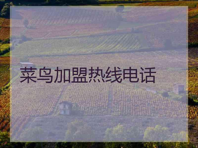 菜鸟加盟热线电话