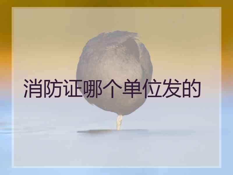消防证哪个单位发的