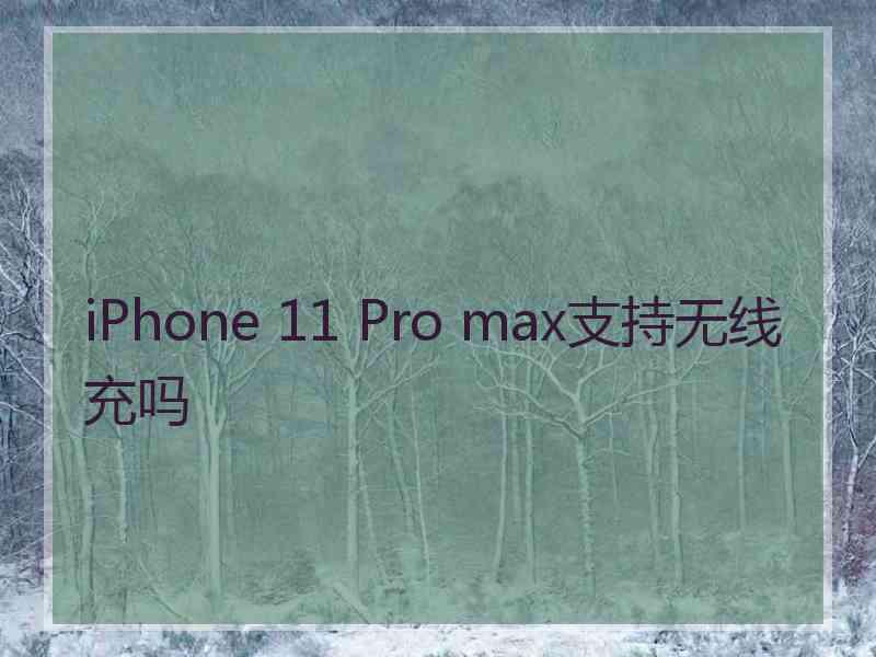 iPhone 11 Pro max支持无线充吗