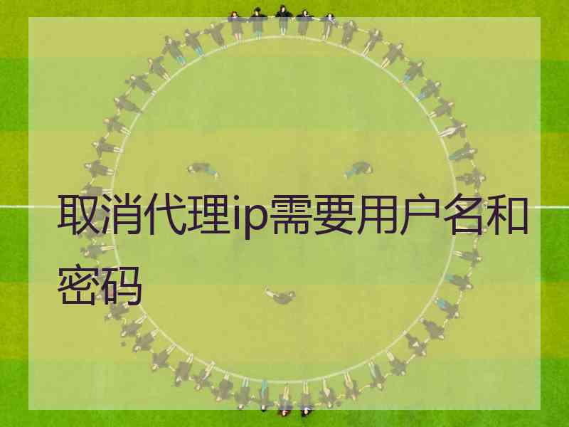 取消代理ip需要用户名和密码