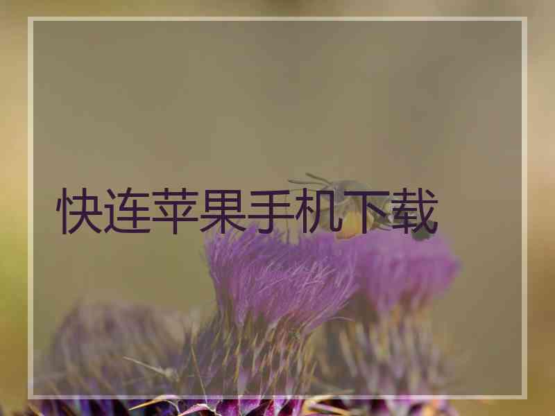 快连苹果手机下载