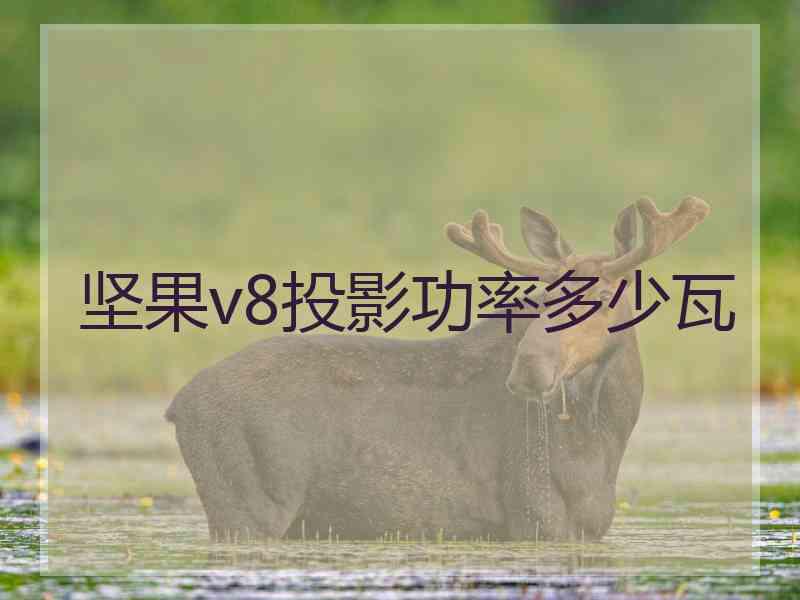 坚果v8投影功率多少瓦