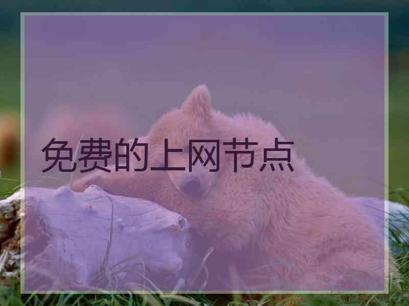 免费的上网节点
