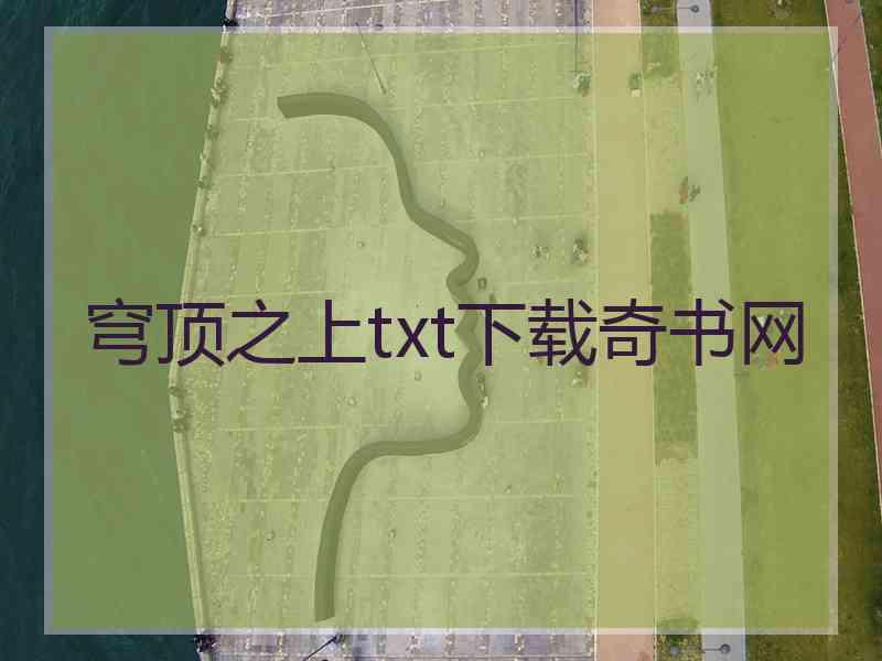 穹顶之上txt下载奇书网