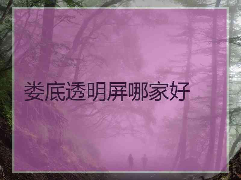 娄底透明屏哪家好