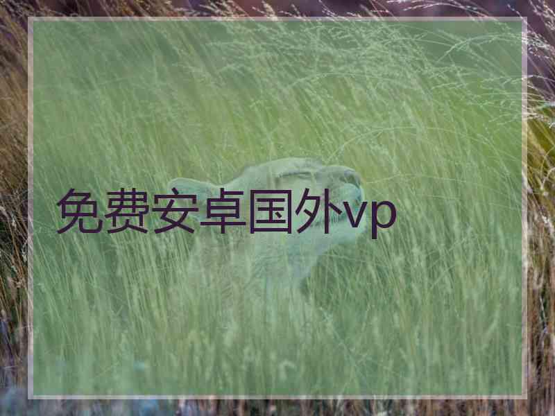 免费安卓国外vp