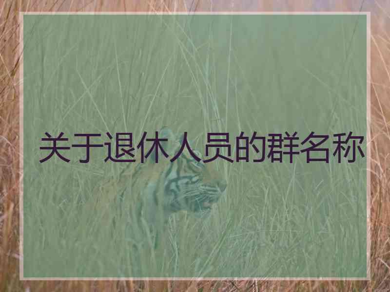 关于退休人员的群名称