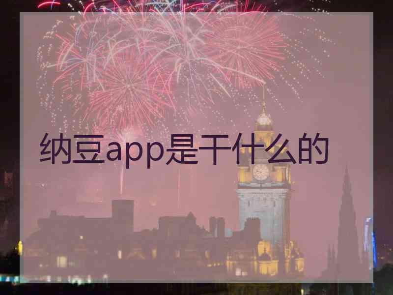 纳豆app是干什么的