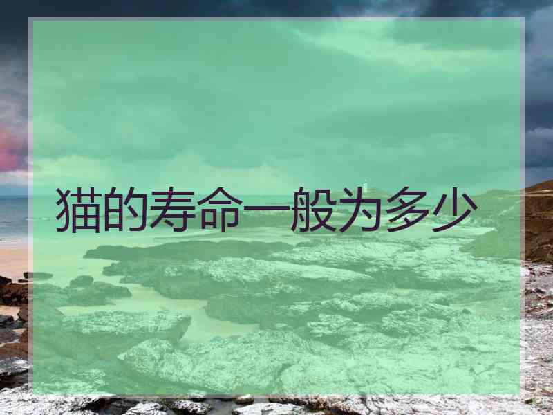 猫的寿命一般为多少