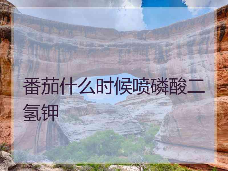 番茄什么时候喷磷酸二氢钾