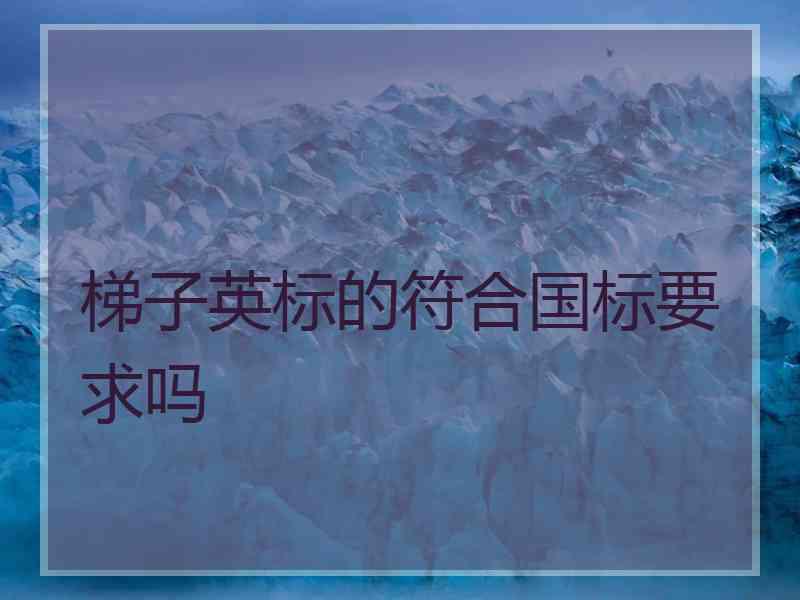梯子英标的符合国标要求吗