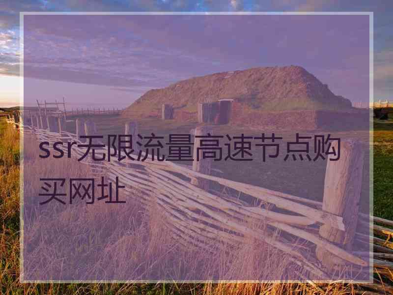 ssr无限流量高速节点购买网址