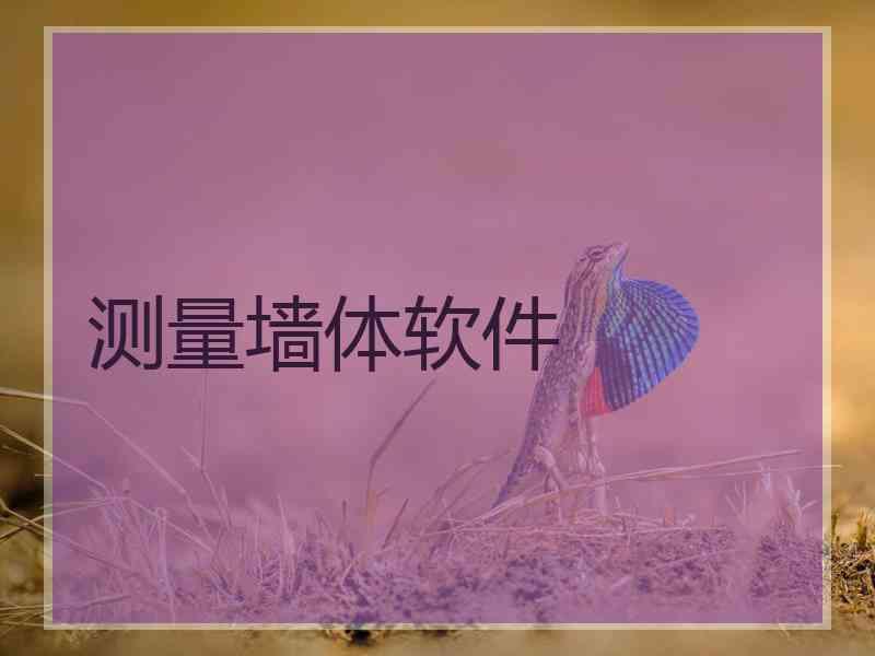测量墙体软件