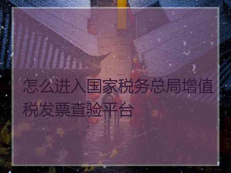 怎么进入国家税务总局增值税发票查验平台