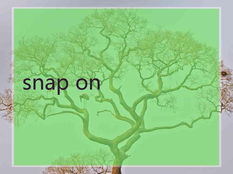 snap on