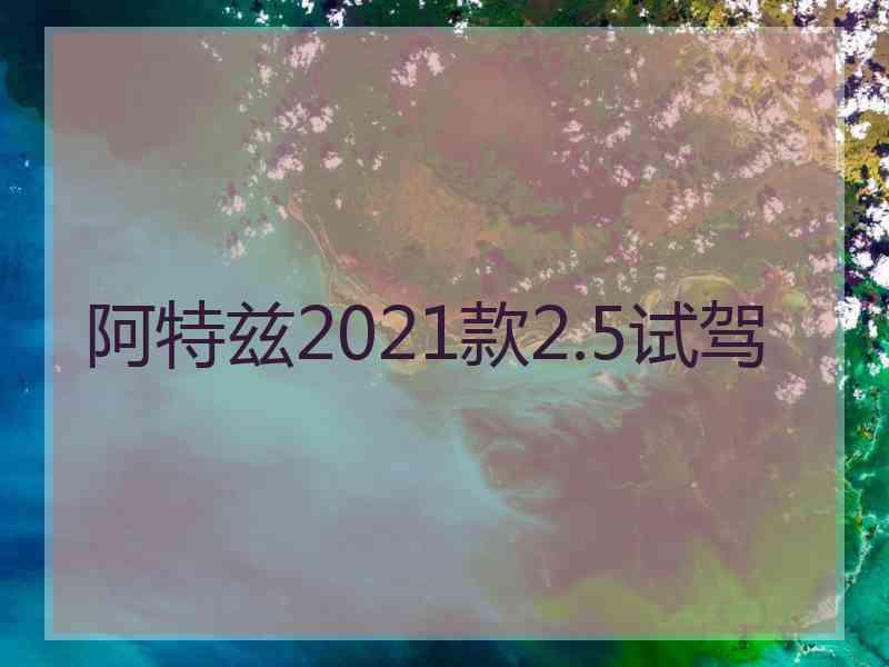 阿特兹2021款2.5试驾