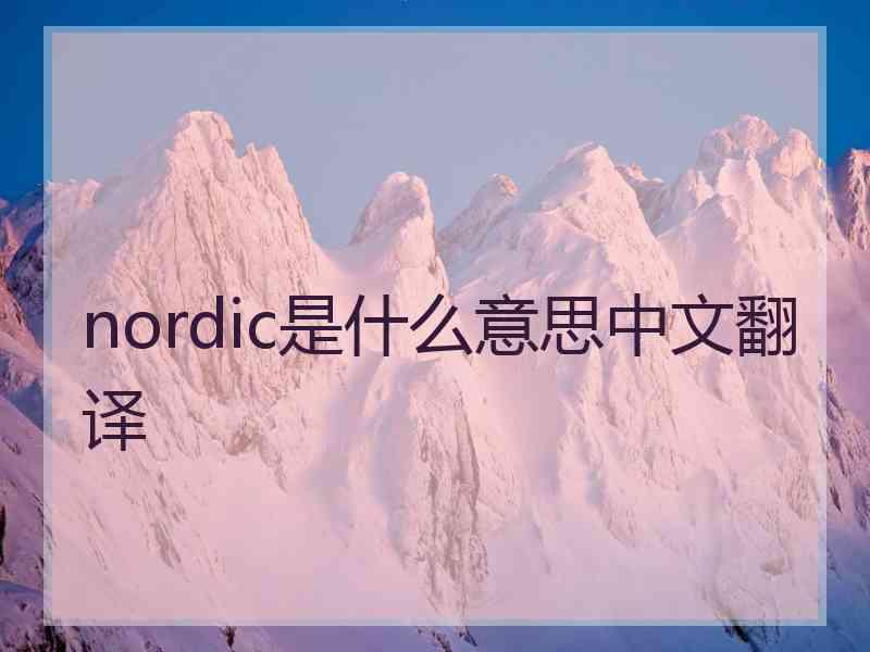 nordic是什么意思中文翻译