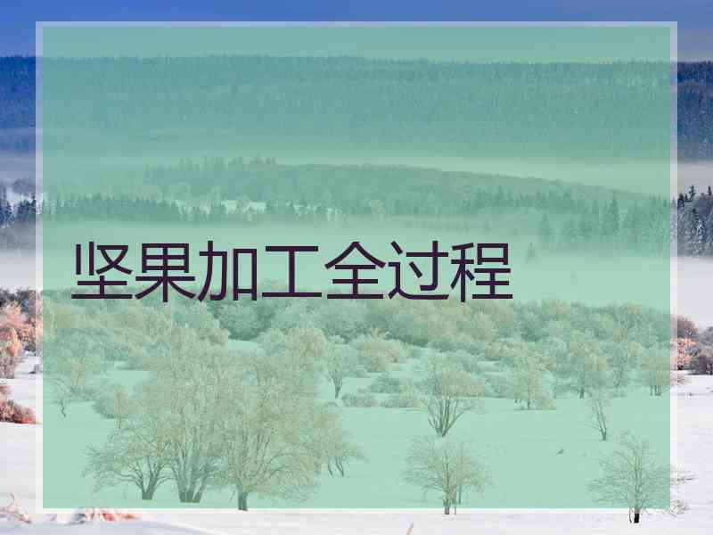 坚果加工全过程