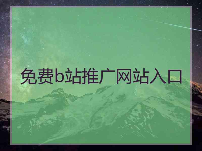 免费b站推广网站入口