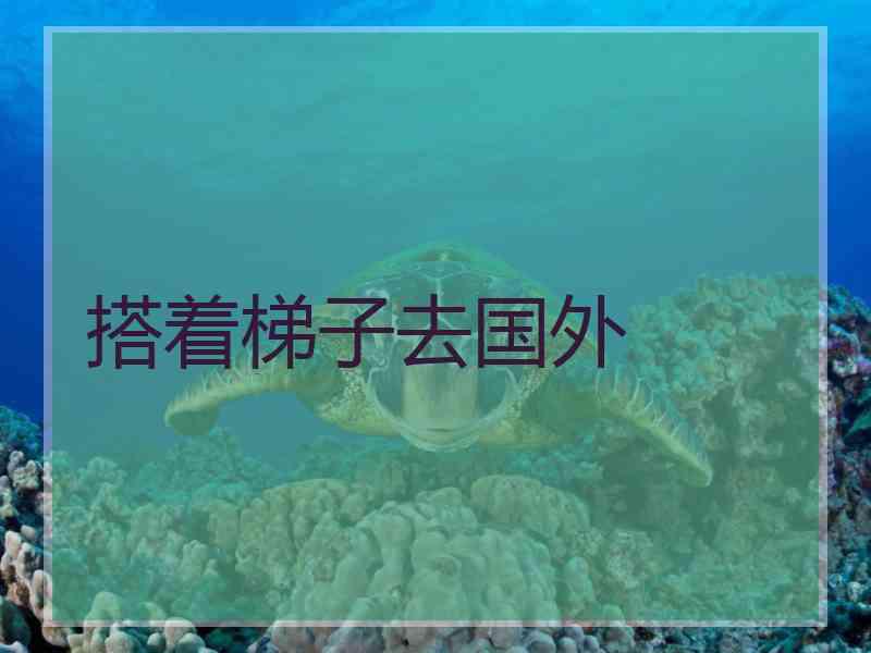 搭着梯子去国外