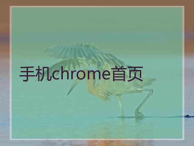 手机chrome首页
