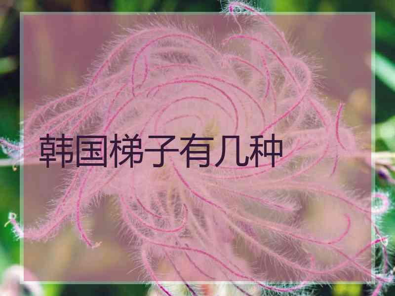 韩国梯子有几种
