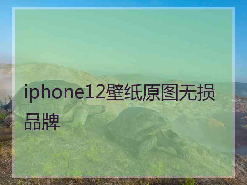 iphone12壁纸原图无损品牌