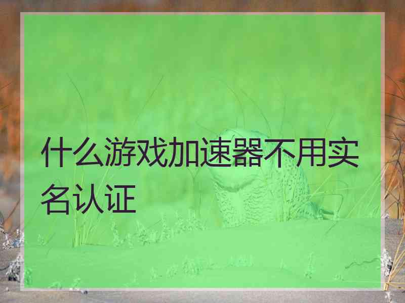 什么游戏加速器不用实名认证