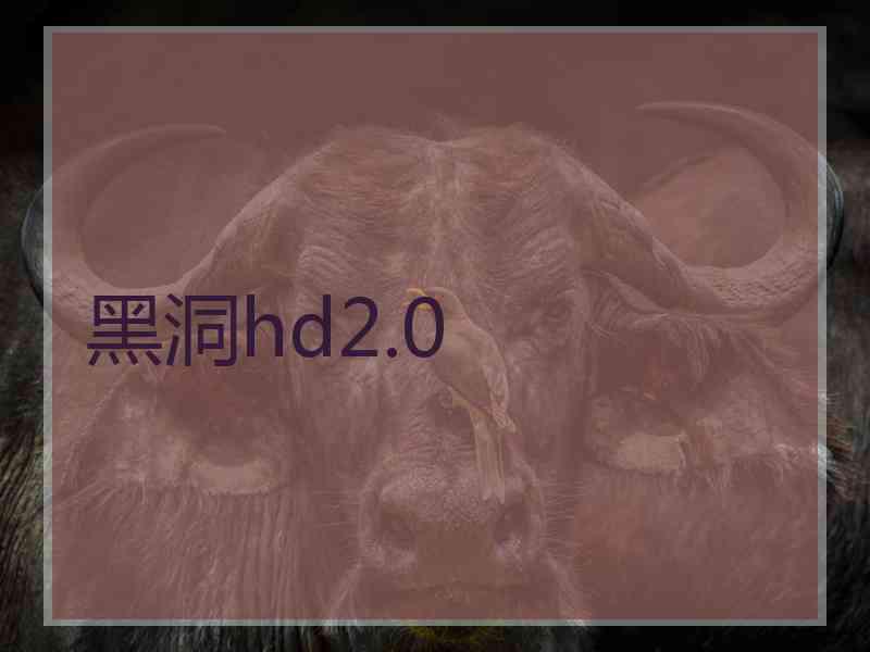 黑洞hd2.0