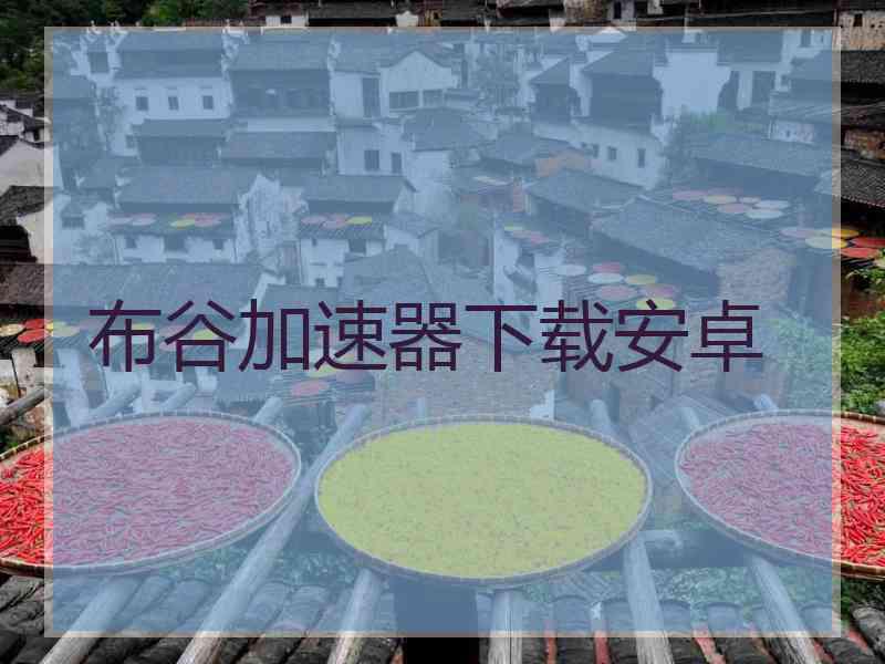 布谷加速器下载安卓