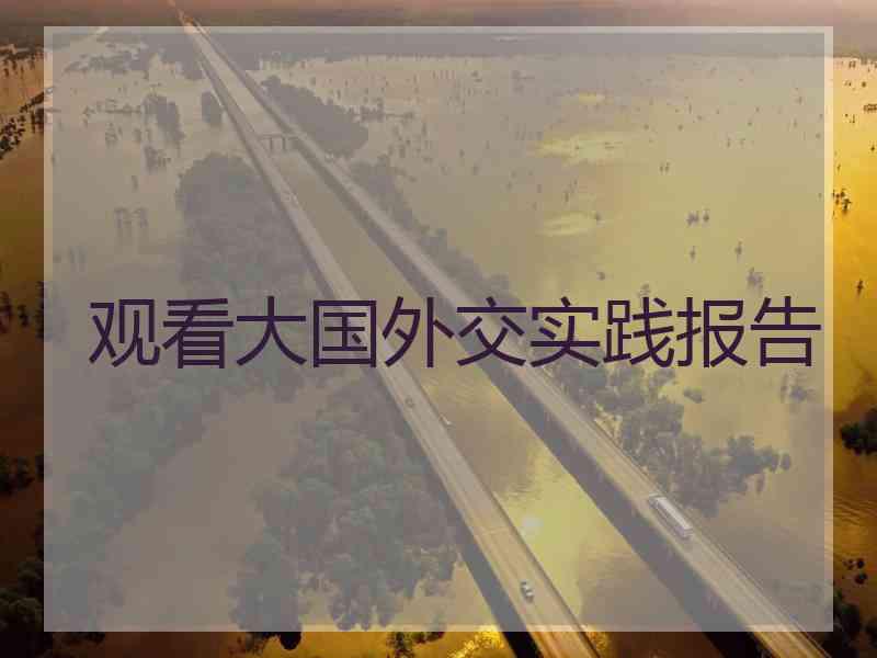 观看大国外交实践报告