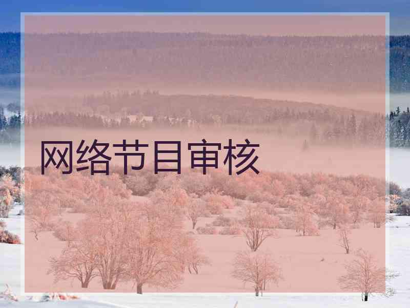 网络节目审核