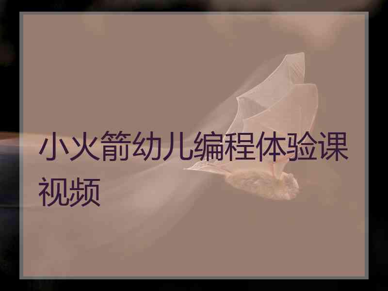 小火箭幼儿编程体验课视频