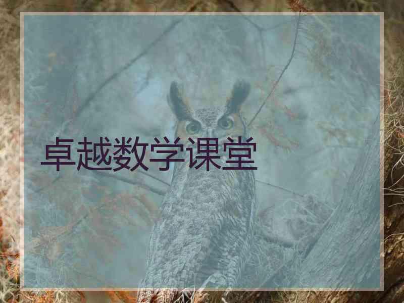 卓越数学课堂