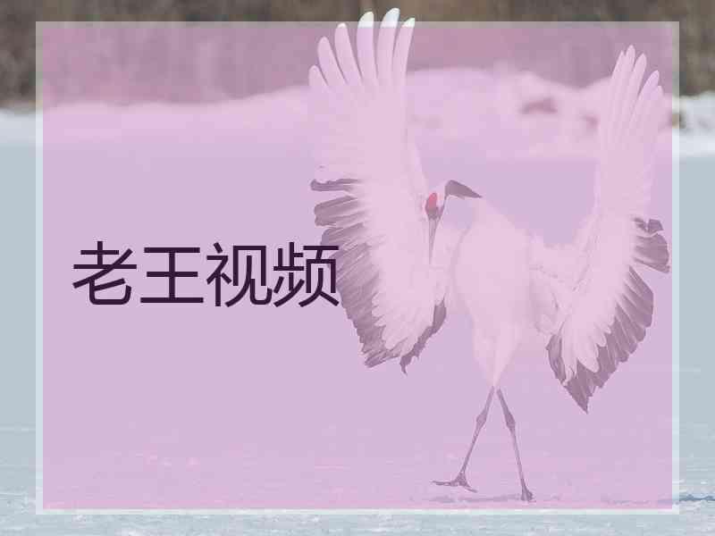 老王视频