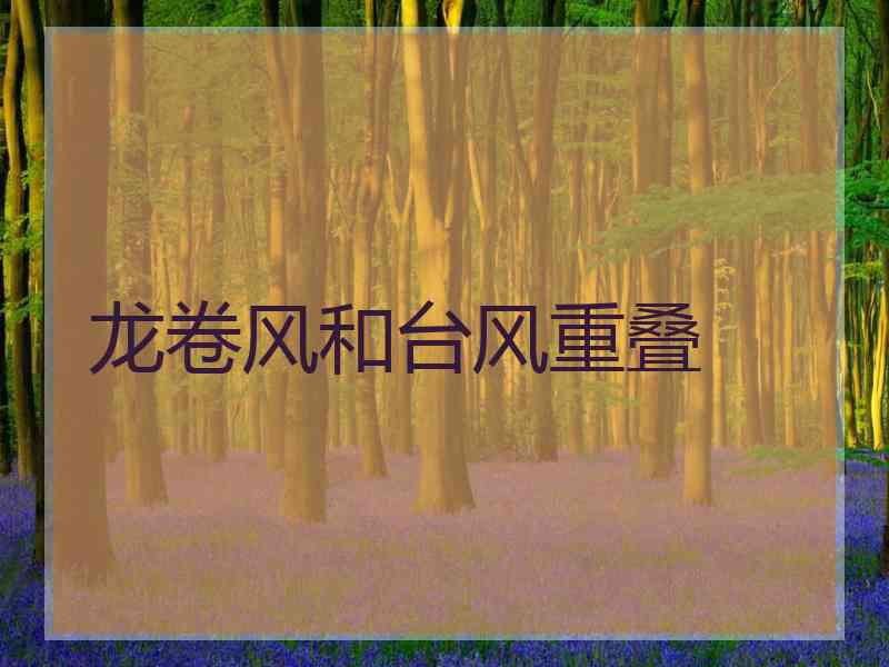 龙卷风和台风重叠
