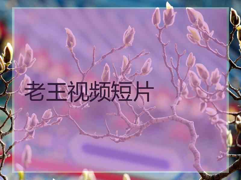 老王视频短片