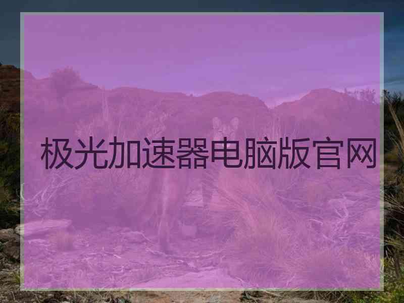 极光加速器电脑版官网