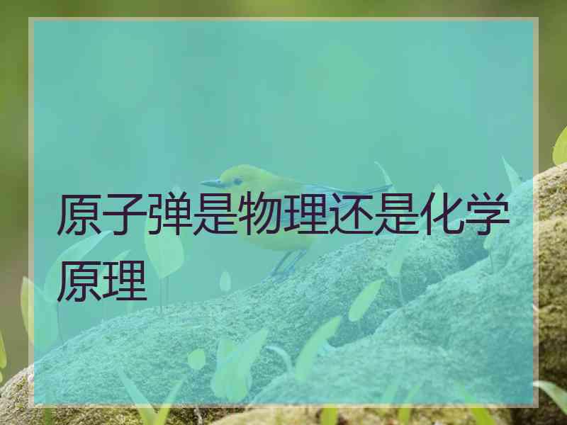 原子弹是物理还是化学原理