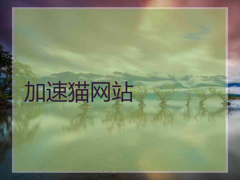 加速猫网站