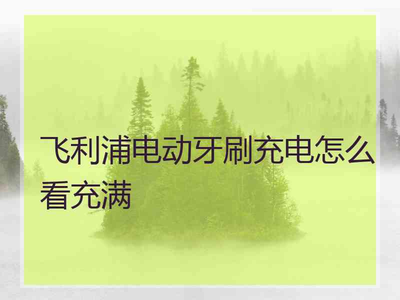 飞利浦电动牙刷充电怎么看充满