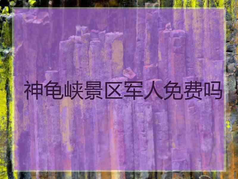 神龟峡景区军人免费吗