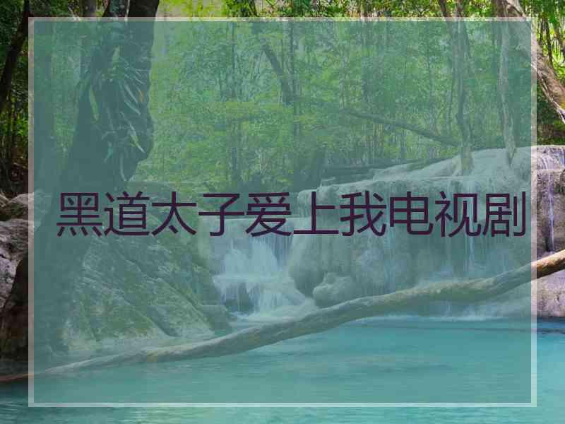 黑道太子爱上我电视剧