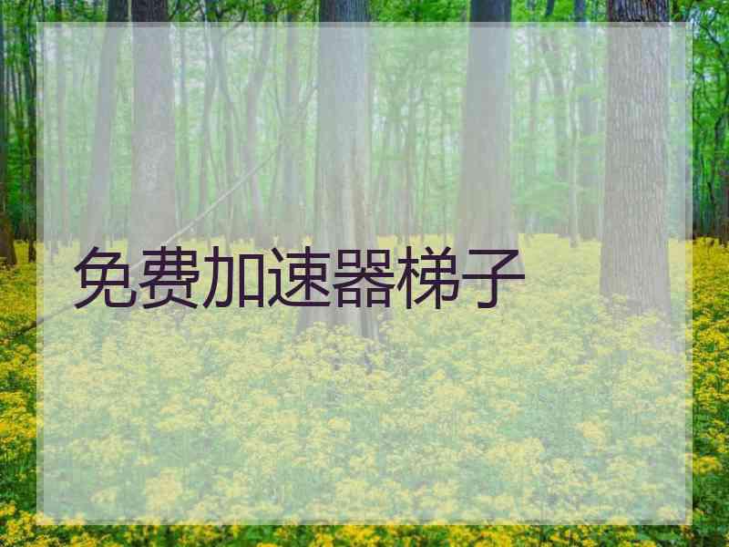 免费加速器梯子