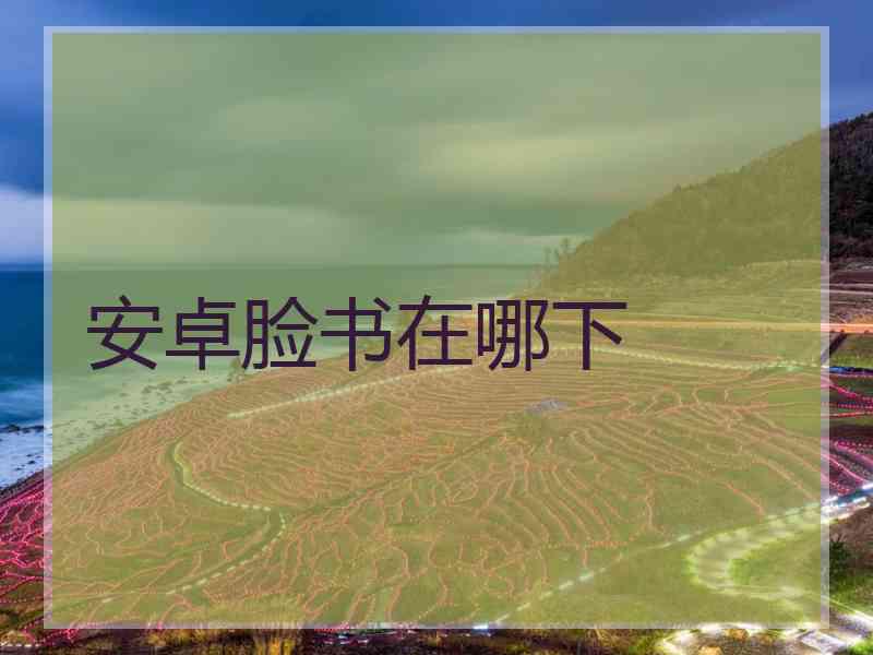 安卓脸书在哪下