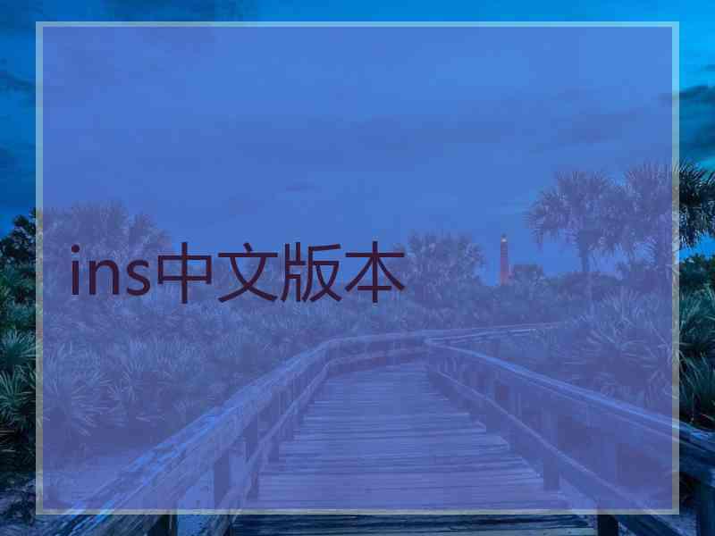 ins中文版本