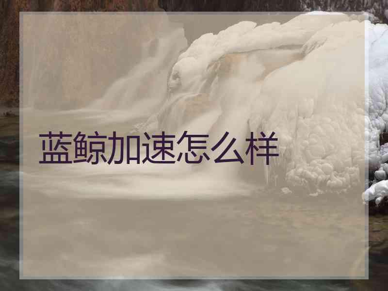 蓝鲸加速怎么样